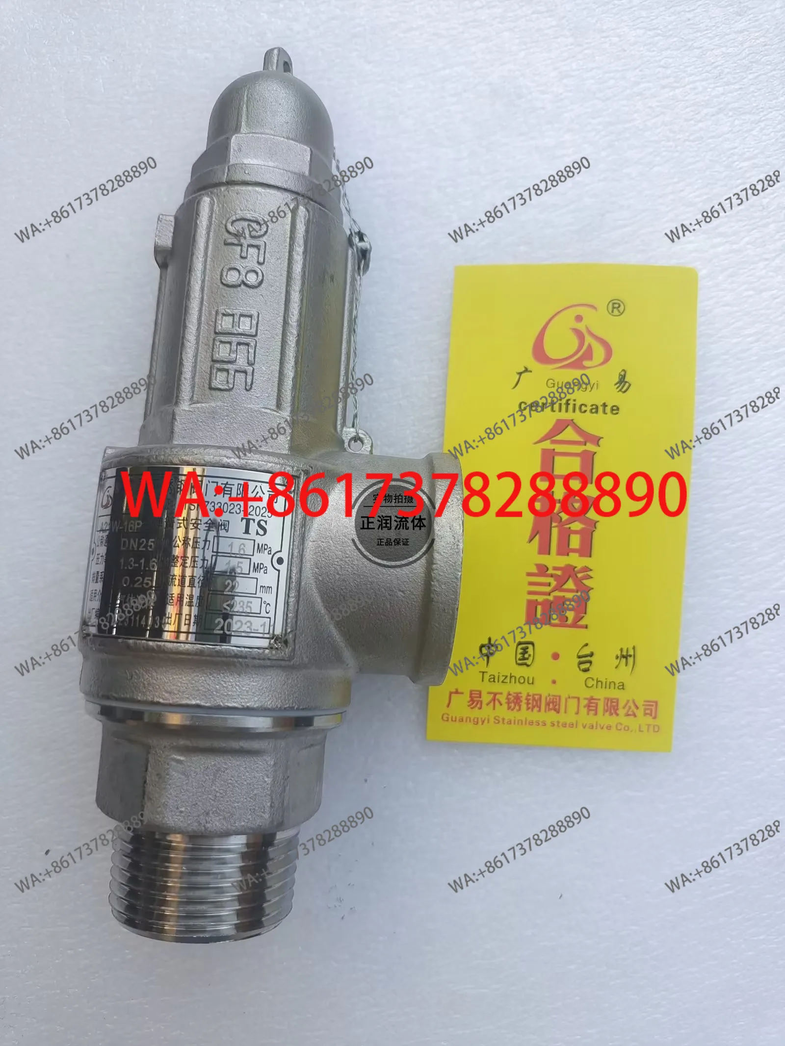 Zhejiang Guangyi safety valve A21W-16P A27W-16P stainless steel 304 spring type thread safety valve