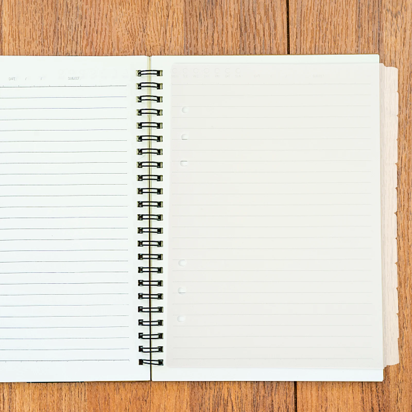 

12Pcs A5 6-Hole Plastic Binder Dividers with Colored Index Tabs for Notebooks Planners Diaries Office Supplies