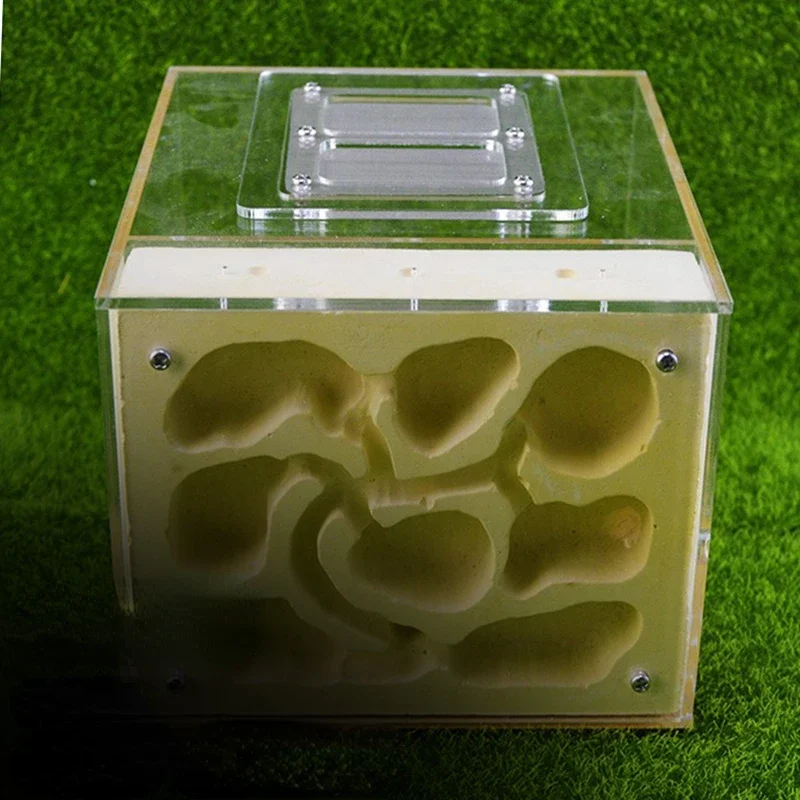 

Shiwang Ant House Pet Ant Nest Workshop Breeding Nest Acrylic Gypsum Aerated Brick Closure