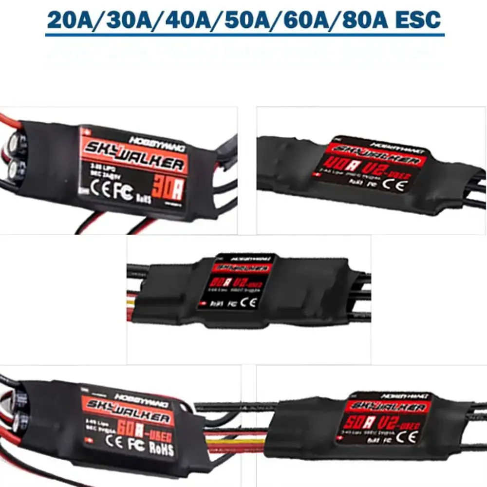 Hobbywing Skywalker…