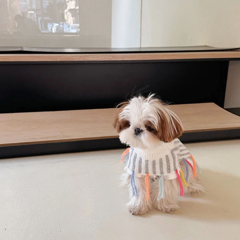 Winter New Design Colorful Fringe Pet Knit Sweater High Neck Warm Dog Cape Puppy Maltese Schnauzer Dog Sweater Small Dog Clothes