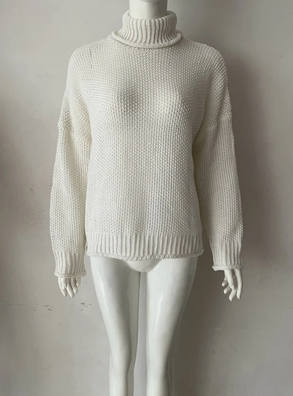 

Women's Turtleneck Long Sleeve Loose Fit Sweater