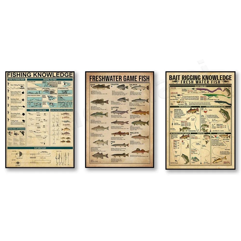 Bait rigging knowledge freshwater fish poster, fishing knowledge gift, freshwater game fish poster, fishing logo, fisherman gift