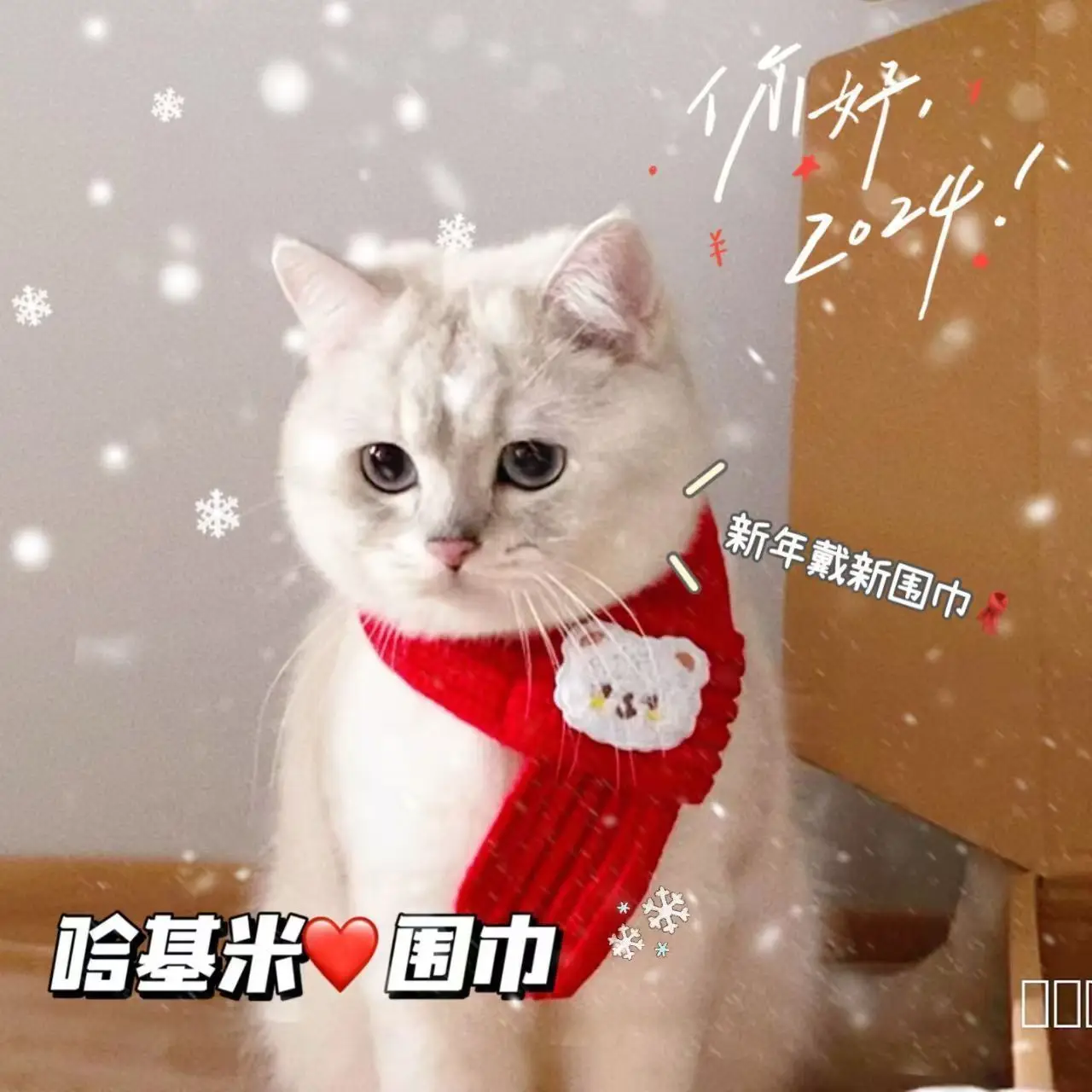 

Pet scarf New Year's wool accessories cute cat bib dog warm cat red festive