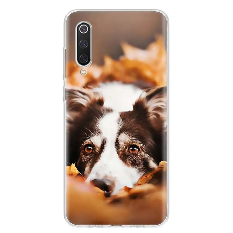 Border Collie Clever Dog For Xiaomi Redmi Note 13 12 11S 11 10S 10 Pro Phone Case  11T 11E 9S 9 8T 8 7 Plus Fundas Cover Coque N