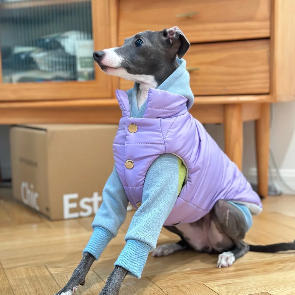 

Italy Little Greyhound Winter Cotton Jacket White Blue Button-up Warm Thick Vest Fashion Whippet Clothes Windproof Coat for Dogs