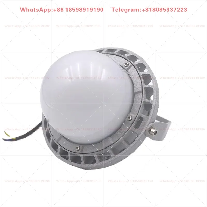 IP65 Three Proof Explosion Proof LED Lamp 30W-100W Energy Saving Industrial Lighting For Warehouse Workshop Working Light