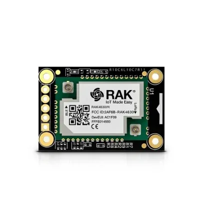 Nordic nRF52840 BLE Core Module for LoRaWAN with LoRa SX1262 | RAK4631 / RAK4631-R| RAKwireless