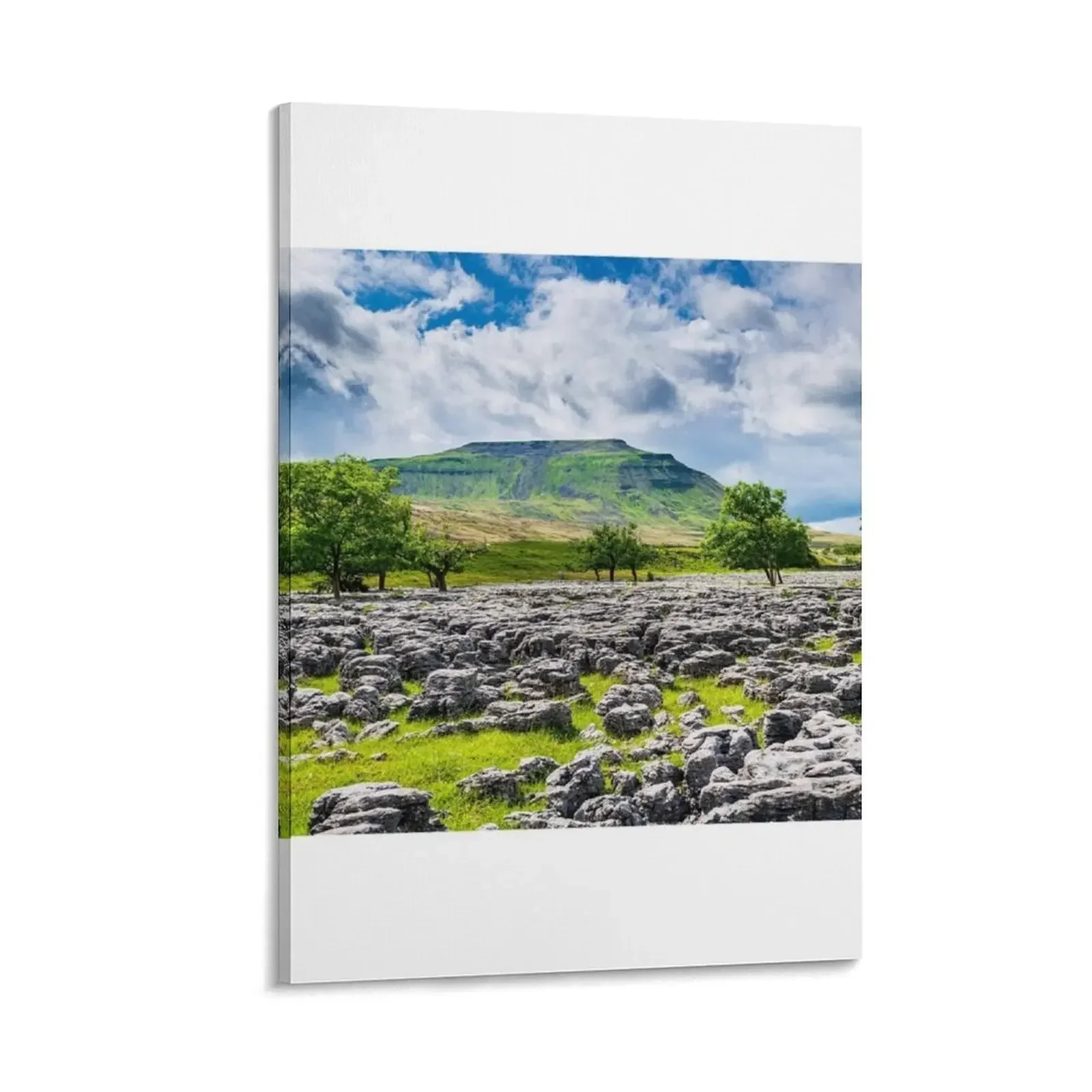 

Ingleborough mountain from Souther Scales Canvas Painting room decoration accessories anime Decor for room