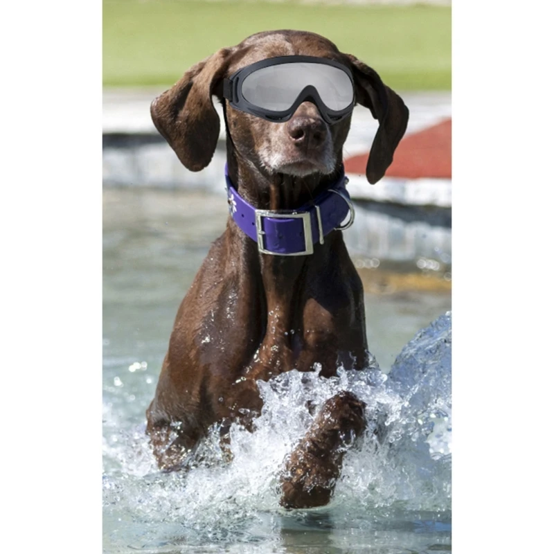 Lunettes soleil Winproof pour chiens, adaptées aux chiens taille moyenne pour plage, neige, l'équitation