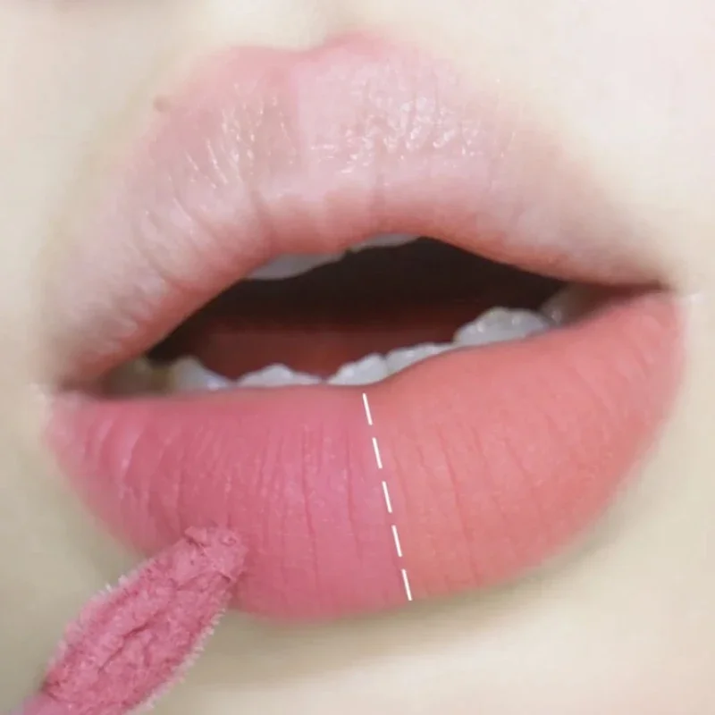 Brillo de labios rosa, rojo y marrón, resistente al agua, larga duración, fácil de llevar, terciopelo, sedoso, suave, barro líquido, maquillaje coreano, tinte de labios