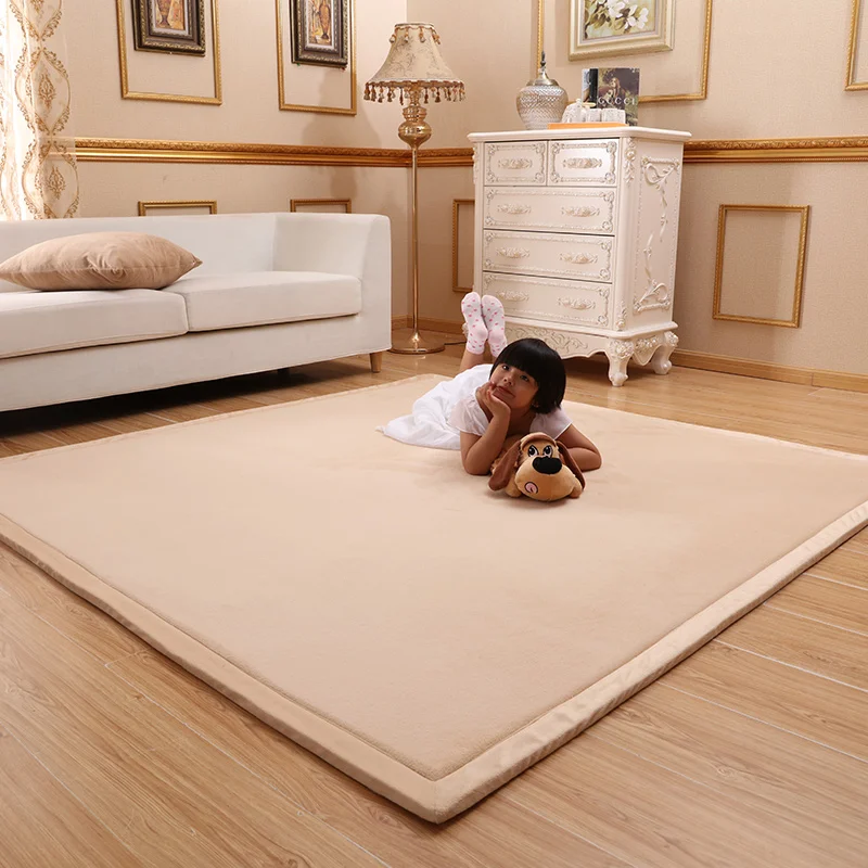 Coral Fleece Carpet for Living Room Luxury 2.5cm Thickened Warm Bedroom Kids Room Area Rugs Anti Slip Tatami Floor Mat Mattress