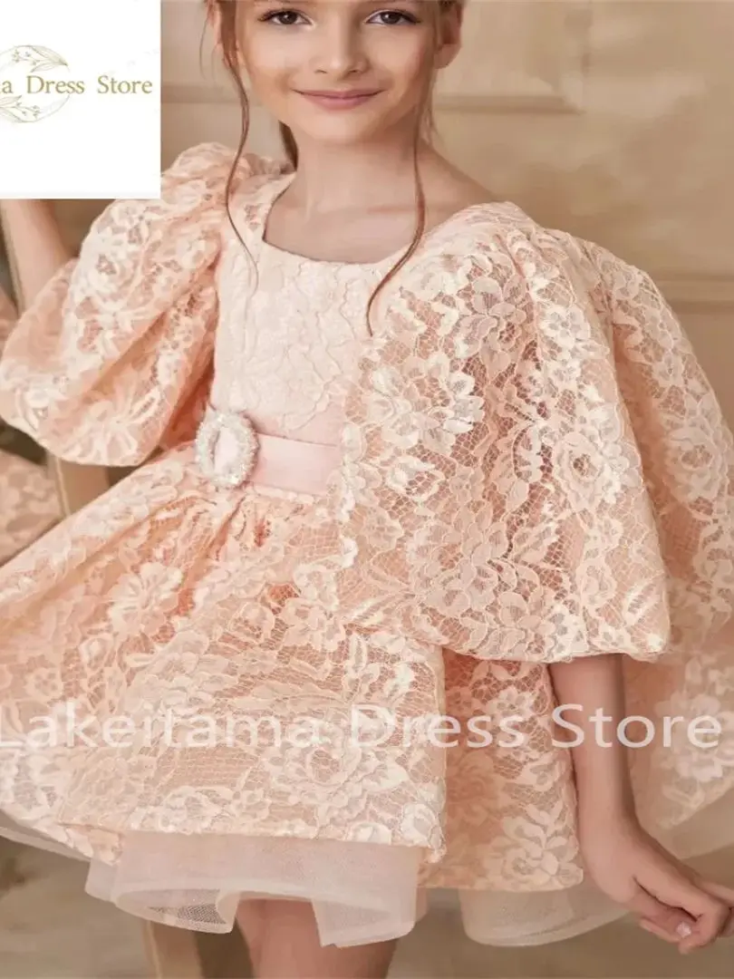 Champagne Lace Flower Girl Dress Puffy Short Sleeve Tulle Princess Pageant Gown Birthday Dress Holiday Prom Dress