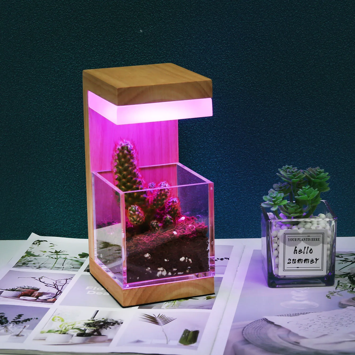 Creative to promote plant growth fill light rubber wood solid wood blue red purple light touch live touch