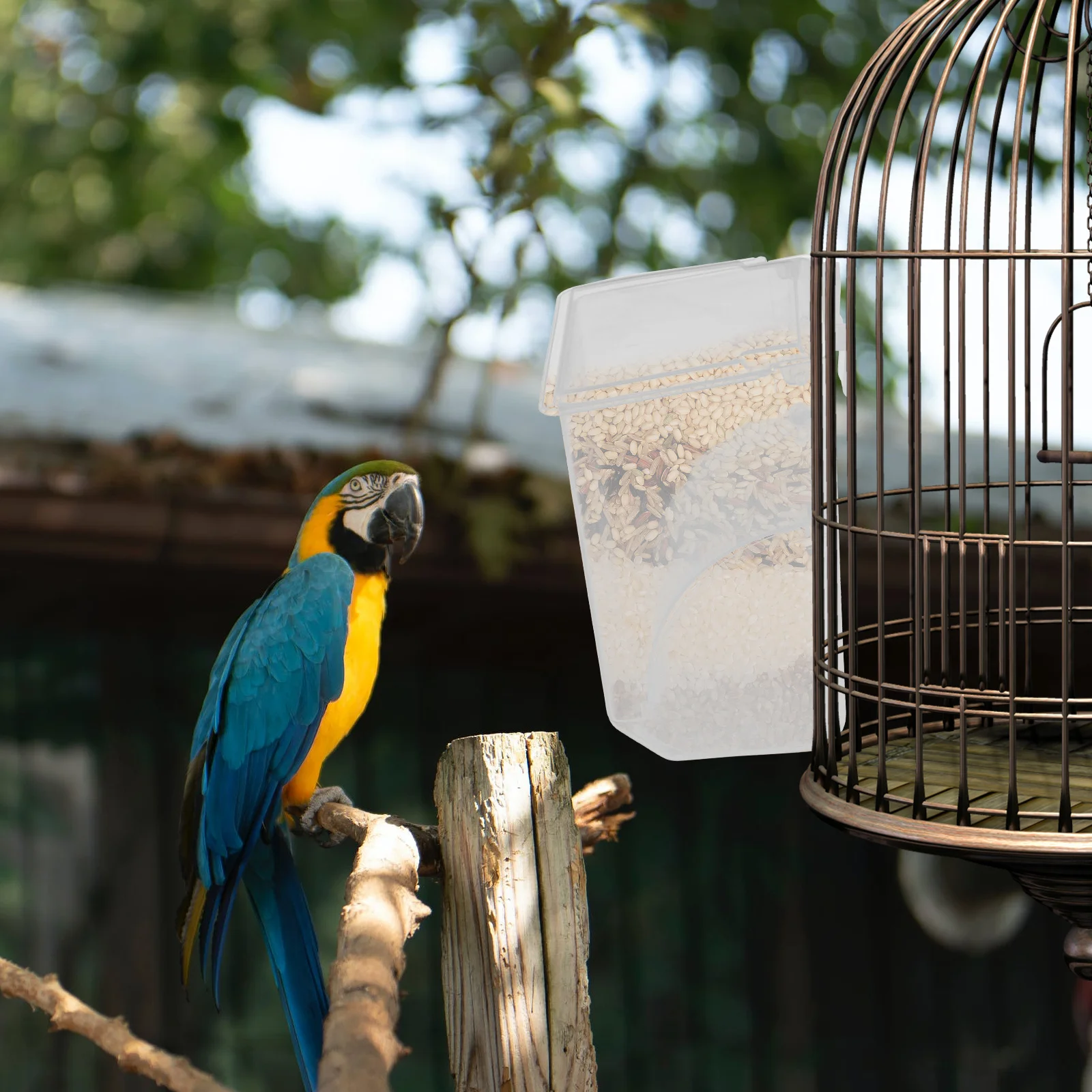 Hanging Pigeon Feeder Transparent Flip Cover Anti-Spill Food Box Cage Feeder Practical Bird Food Dispenser Space Saving Durable - Image 3