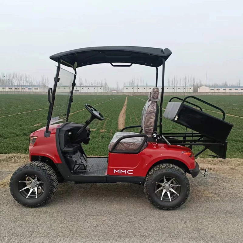 MMC New Design Mini Customized 60V Lithium Battery Electric 2 Person 2 Seater Golf Carts On Sale