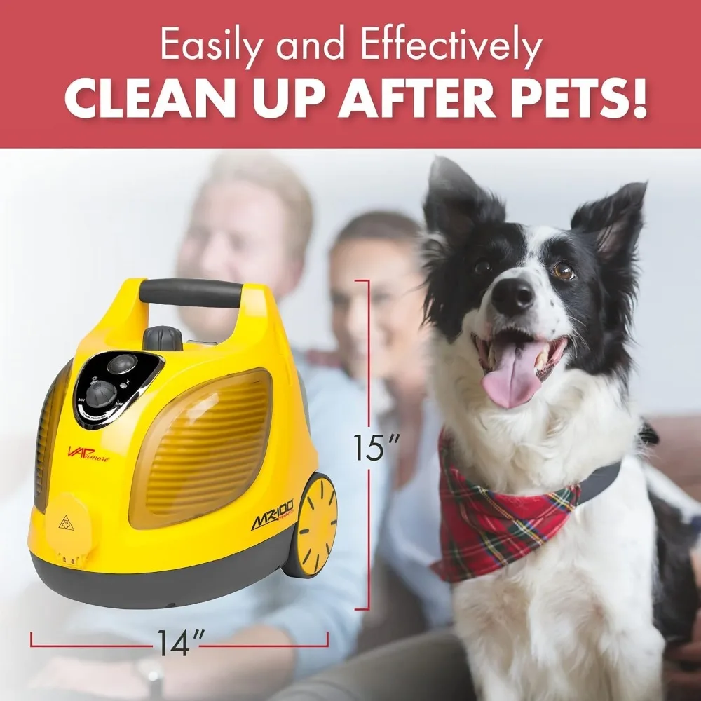 Steam Cleaner,  Chemical Free Professional-Grade Steamer for Cleaning Floors, Mattresses, Cars, Upholstery and More