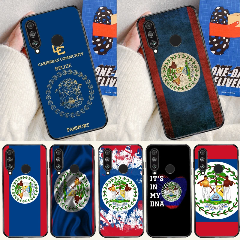 Belizean Flag For H… - image