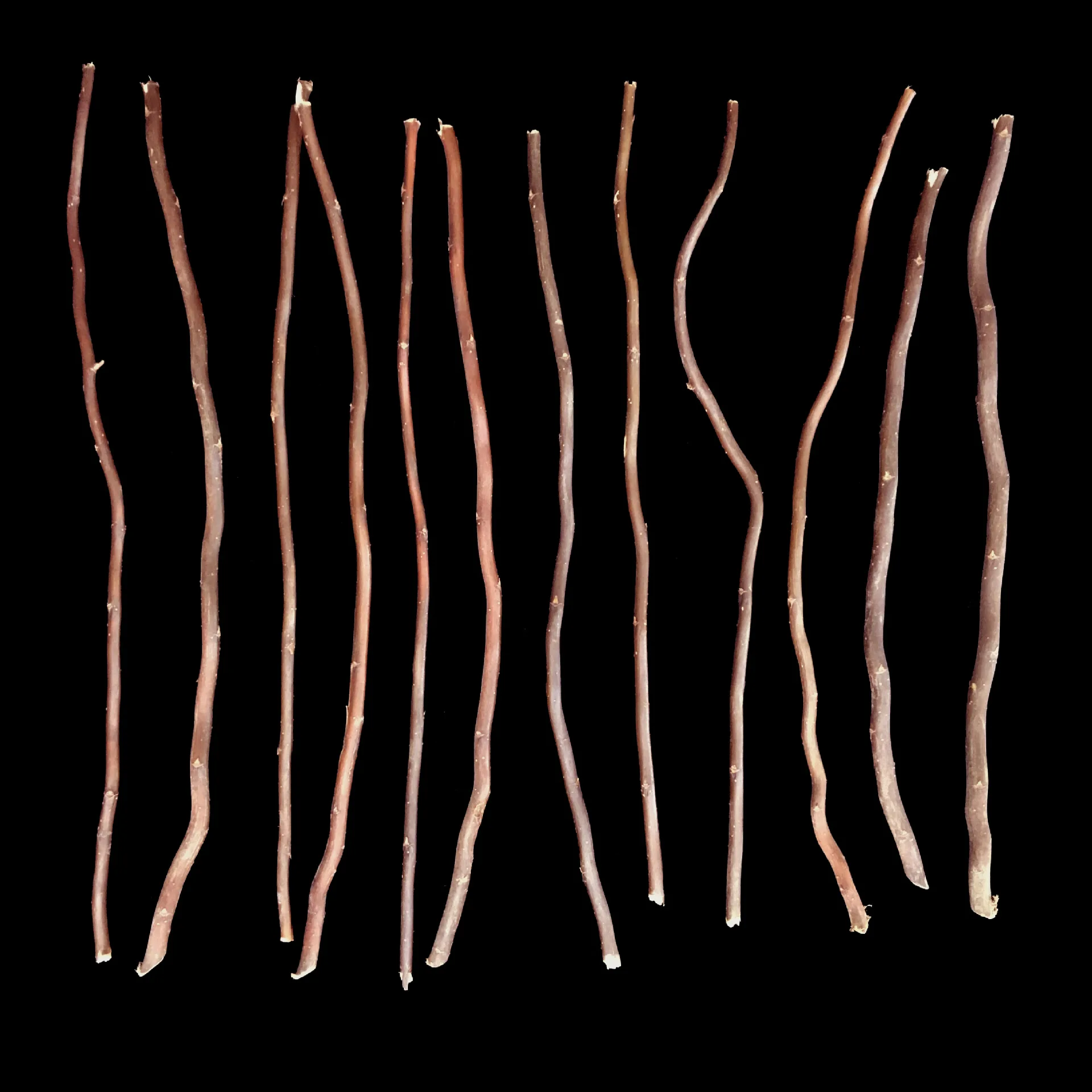 10Pcs Brown Natural Rattan Sticks & Dragon Willow Branches Essential Oil Diffuser Refill for Home Decor Aromatherapy Decor