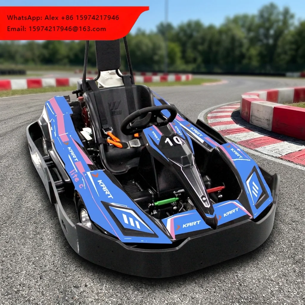X-KART Durable Rental 160cc 200cc Engine Go Kart Low Maintenance 4 Stroke Go Kart For Amusement Park