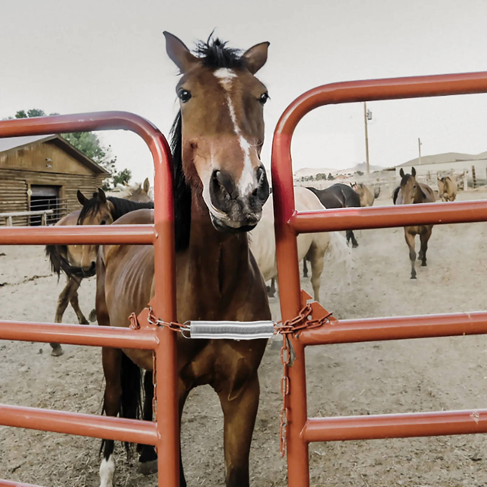 

Stainless Steel Electric Fence Spring Replacement Livestock Fence Part Durable Weatherproof Security Enhanced Performance