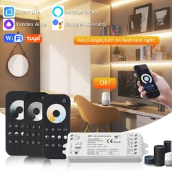 MJJC WT1 Tuya Dimmer 12V 24V RF Wifi Smart Life LED Dimer Controller RT1 RT6 RT8 RT2 RT7 for Single Color CCT LED Strip Light