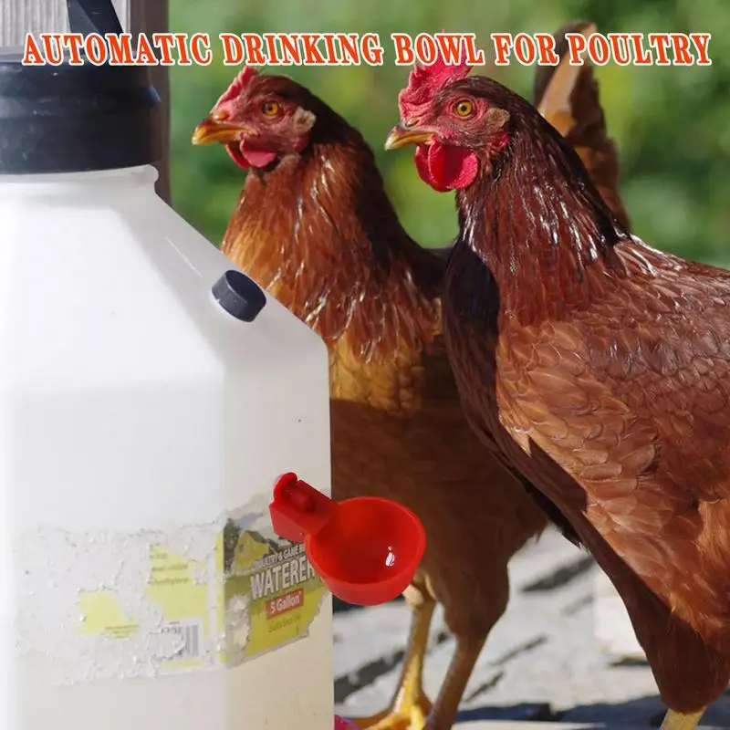 Tazza per bere pollo abbeveratoio automatico mangiatoia per pollo abbeveratoio per pollame in plastica mangiatoia per acqua potabile per pulcini anatra GooseQuail