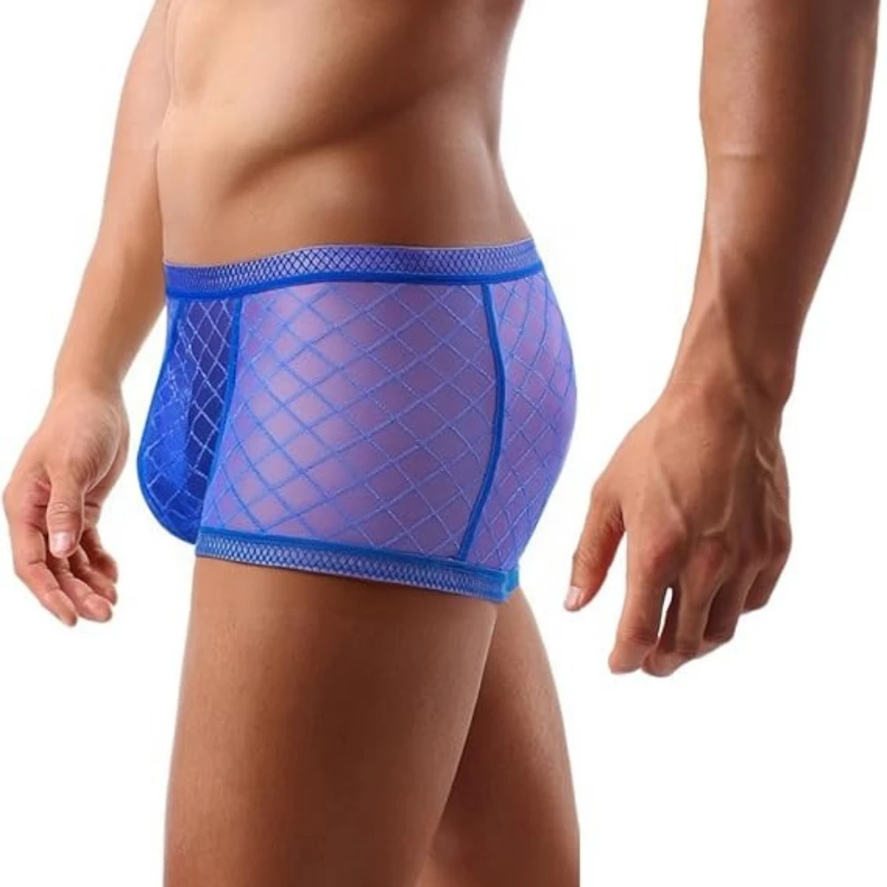 Jinshi Men's Sexy Underwear Briefs See Through Sheer Mesh Boxer Briefs with Pouch
