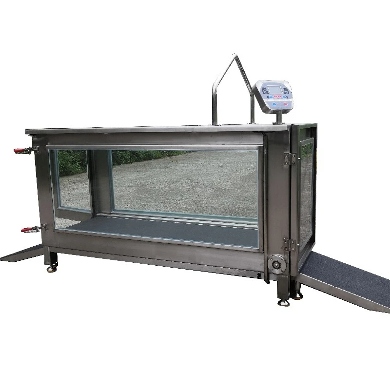 SUS304 Dog Hydrotherapy Underwater Treadmill Cheap Water Canie OEM  Pet Veterinary Clinic Hospital Supplier Equipment