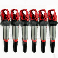 6x Ignition Coil 12138616153 For 01-22 BMW 1 3 4 5 6 7 M Serie X1 X3 X4 X5 X6 Z3 Z4 2.5L 3.0L 3.2L I4 I6 12137594596 12137559842