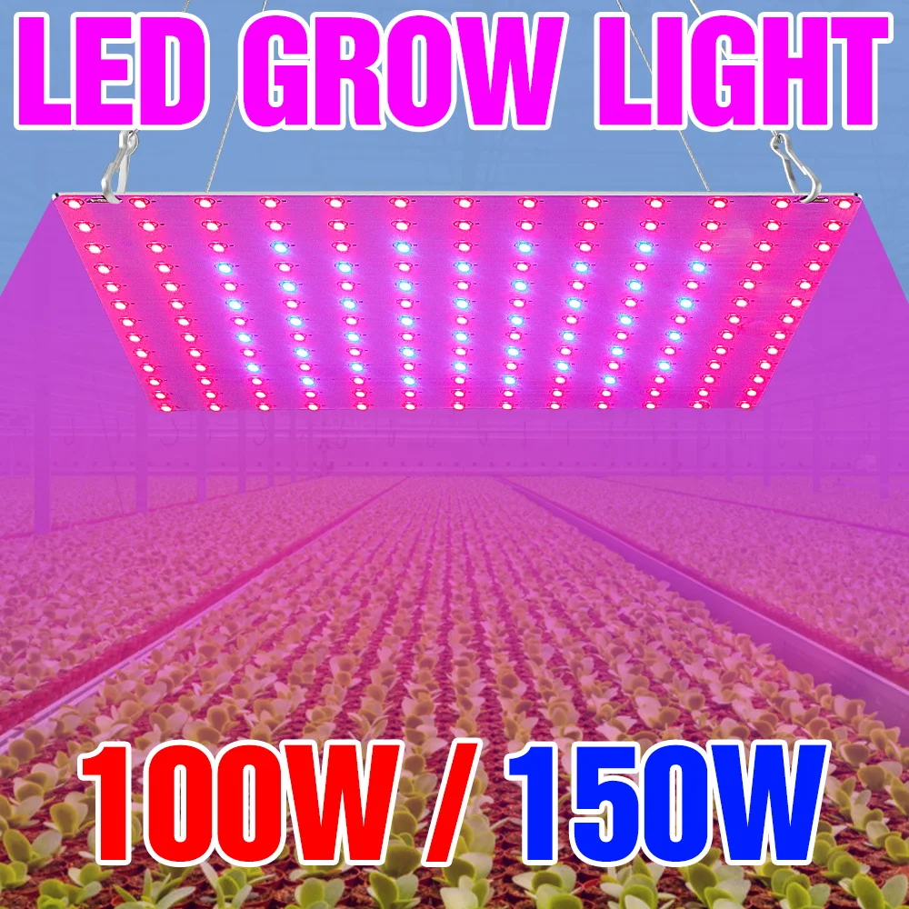 

150W LED Full Spectrum Grow Lights Quantum Board Hydroponics Lamp For Indoor Fruit Greenhouse Tent Sapling Vegetables US/EU Plug