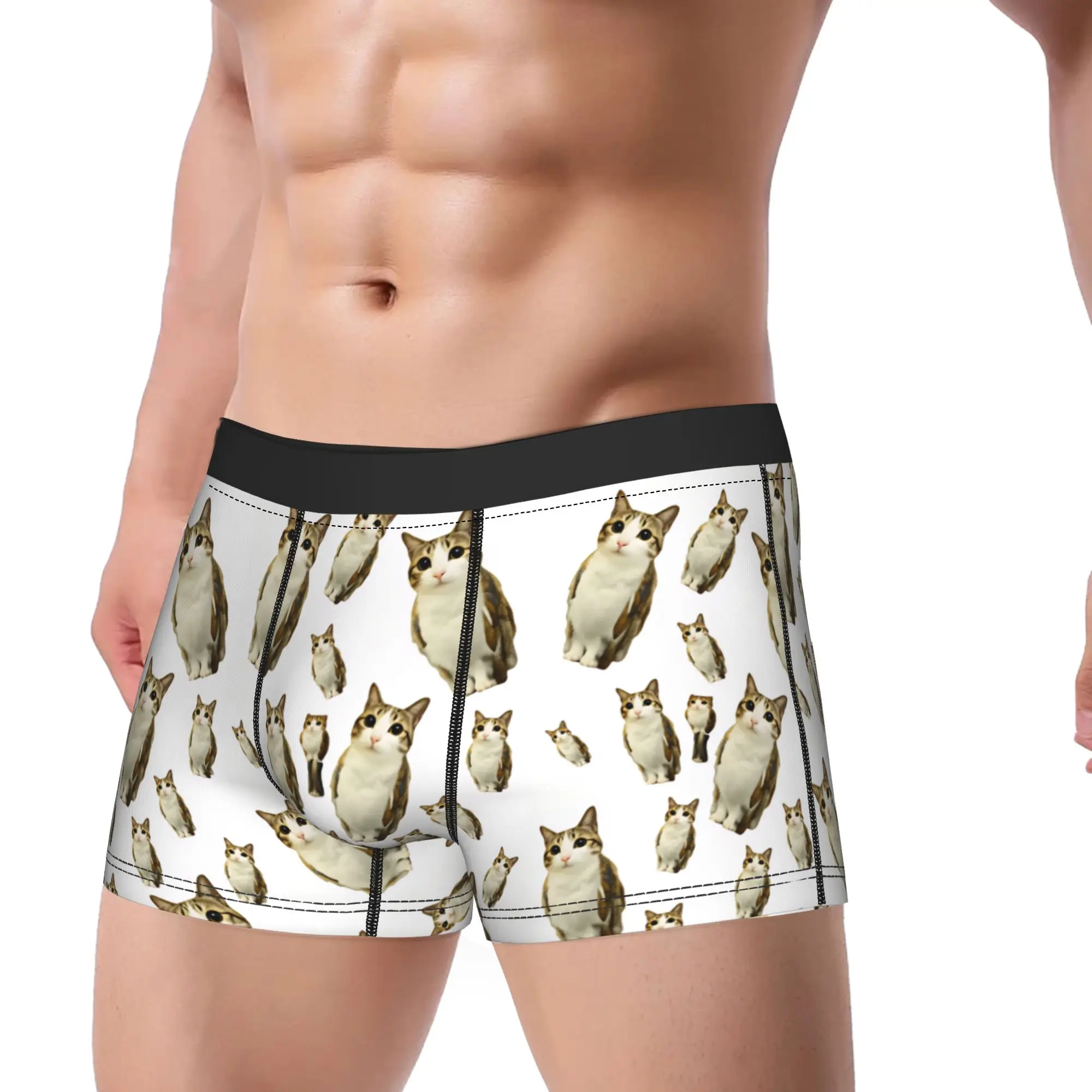 Cute Meowl Cat Repeat Pattern Underwear  Men Shorts Briefs Classic Boxershorts Trenky Design Plus Size Underpants