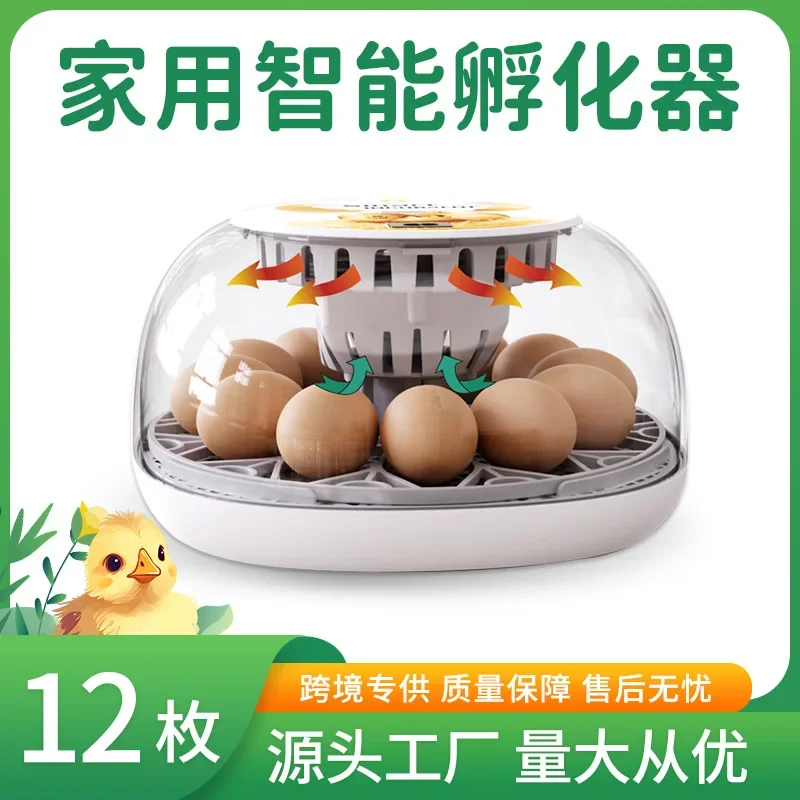 12-Egg Chicken Incubator for Kids Interactive Educational Science Home Hatching Equipment Gift for Learning