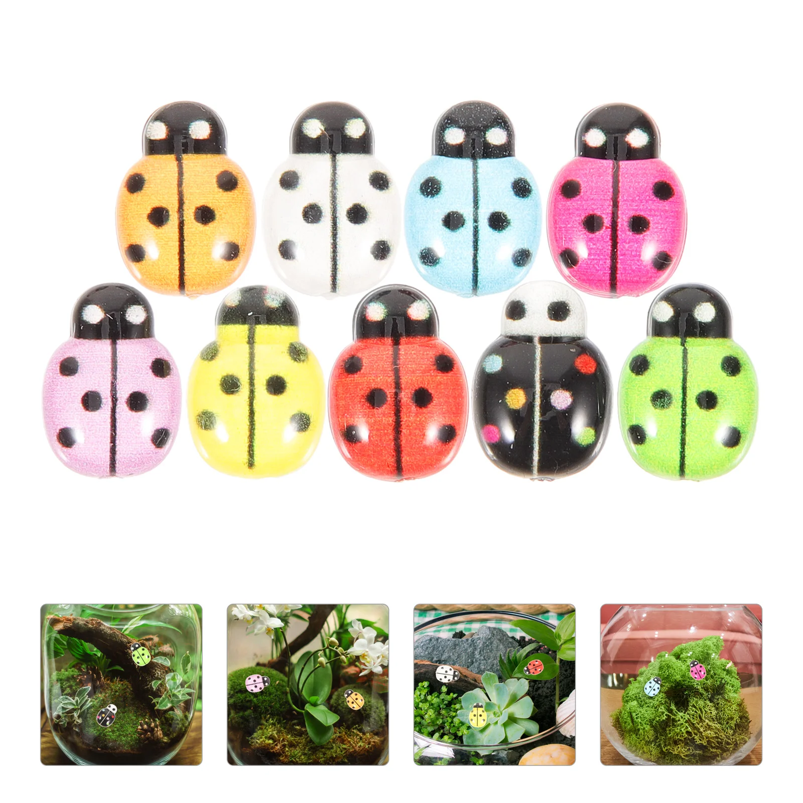 

50 Pcs Succulent Micro Landscape Potted Plant Tiny Ladybugs for Crafts Animal Figurines Charms Bulk Insect Jewelry Making Round