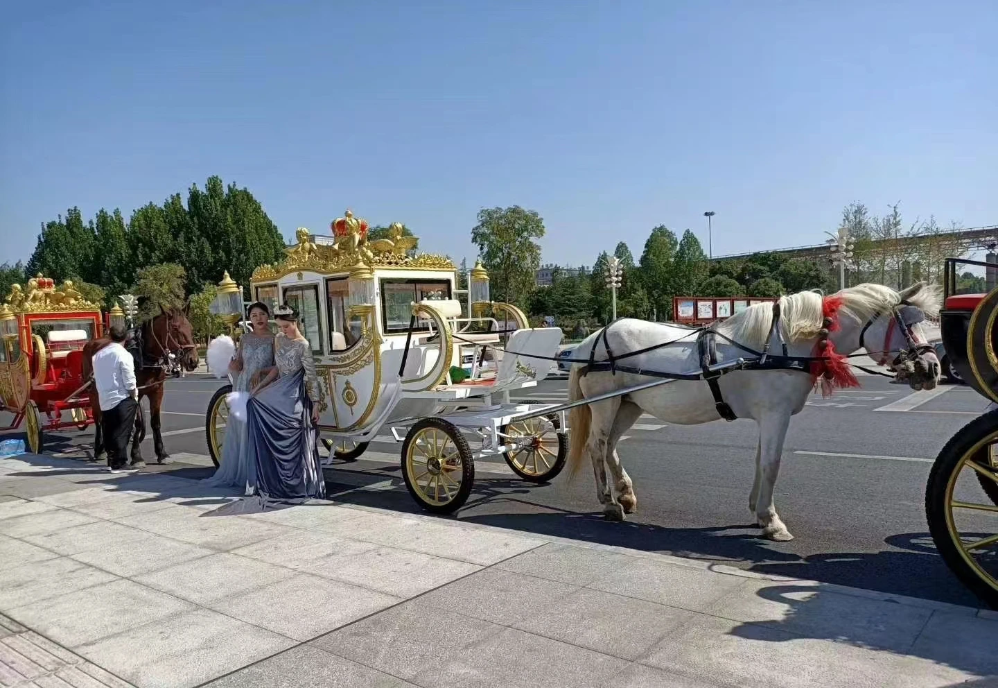 รถฟักทองซินเดอเรลล่ารถม้าประดับม้ารถเข็นปรับแต่งได้สำหรับเทศกาลคริสต์มาส