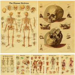 Anatomy and Physiology Poster Kraft Paper Prints Home Decoration Wall Kraft Room Vintage Nostalgia Posters Art Wall Painting