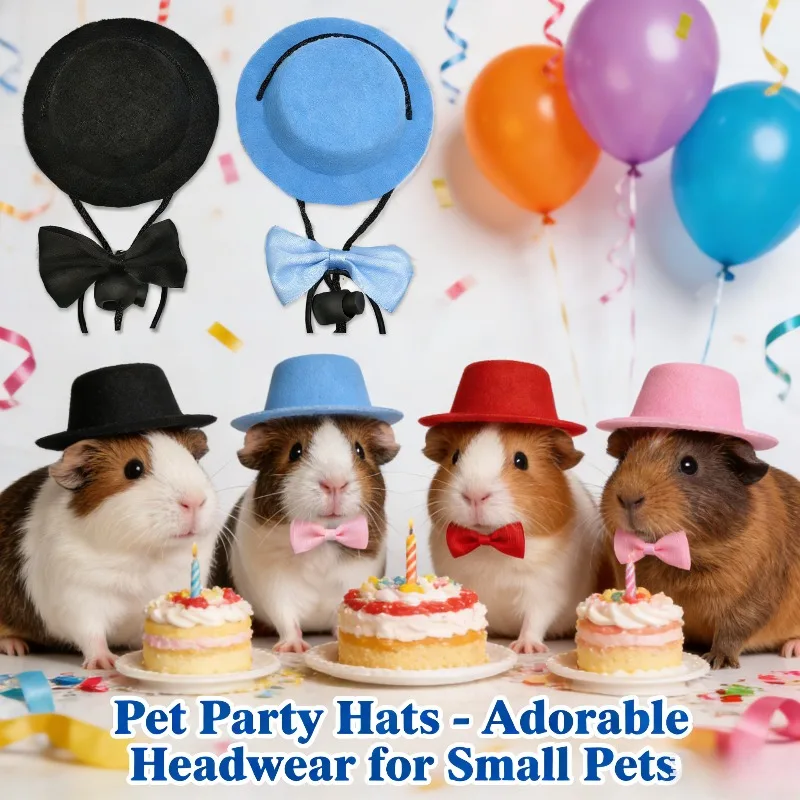 Conjunto de sombrero de fiesta para mascotas, conejillo de indias, hámster, Chinchilla, erizo, traje de transformación para Festival, disfraz pequeño
