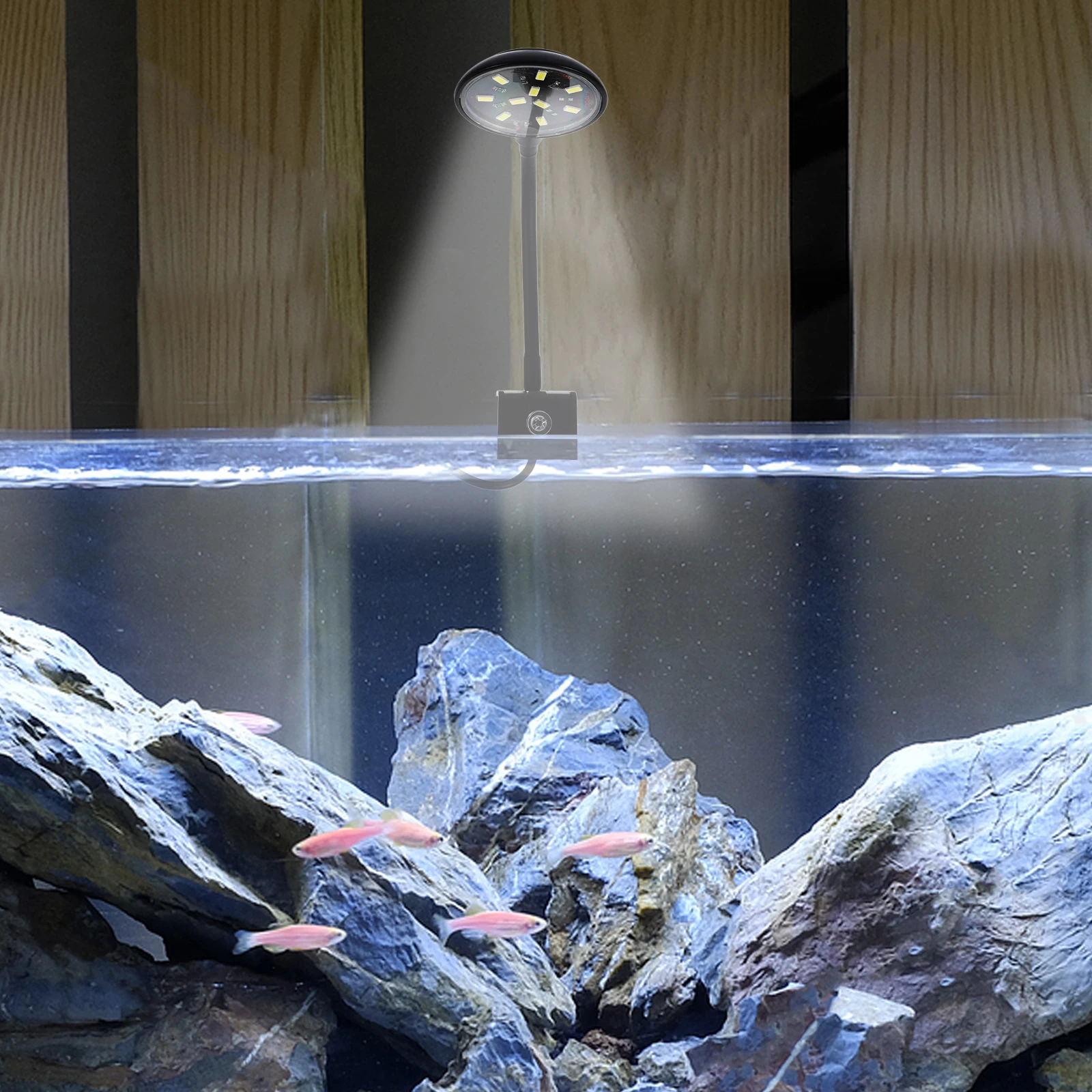 

Fish Tank USB Light Betta Accessories Aquarium for Water Plant Lamp Clip Diving
