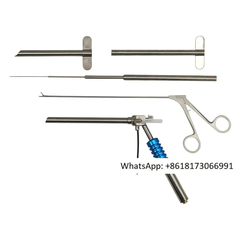 

Intervertebral Foramen Simulation Trainer, Underwater Operation, High Simulation, Animal Surgery Intervertebral Foramen