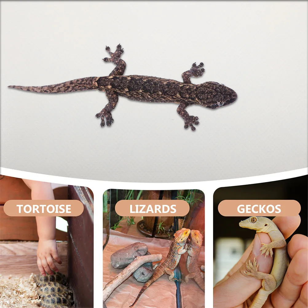 

Eva Reptile Carpet Large Tortoise Bedding Mat for Reptile Terrarium Liner Leopard Gecko and Snake Tank Accessories