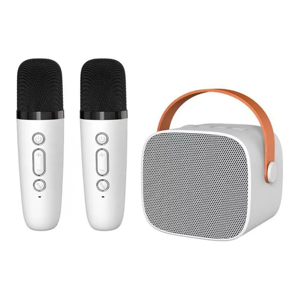Haut-parleur Bluetooth karaoké à double Microphone, pour fêtes de chant sans fil, haut-parleur Portable sans fil pour usage domestique et extérieur