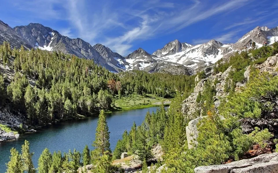 Osłona chlapacza silnika samochodowego, błotnik, osłona przeciwbłotna, czarna osłona ochronna, akcesoria do Chevrolet Cavalier 2016-