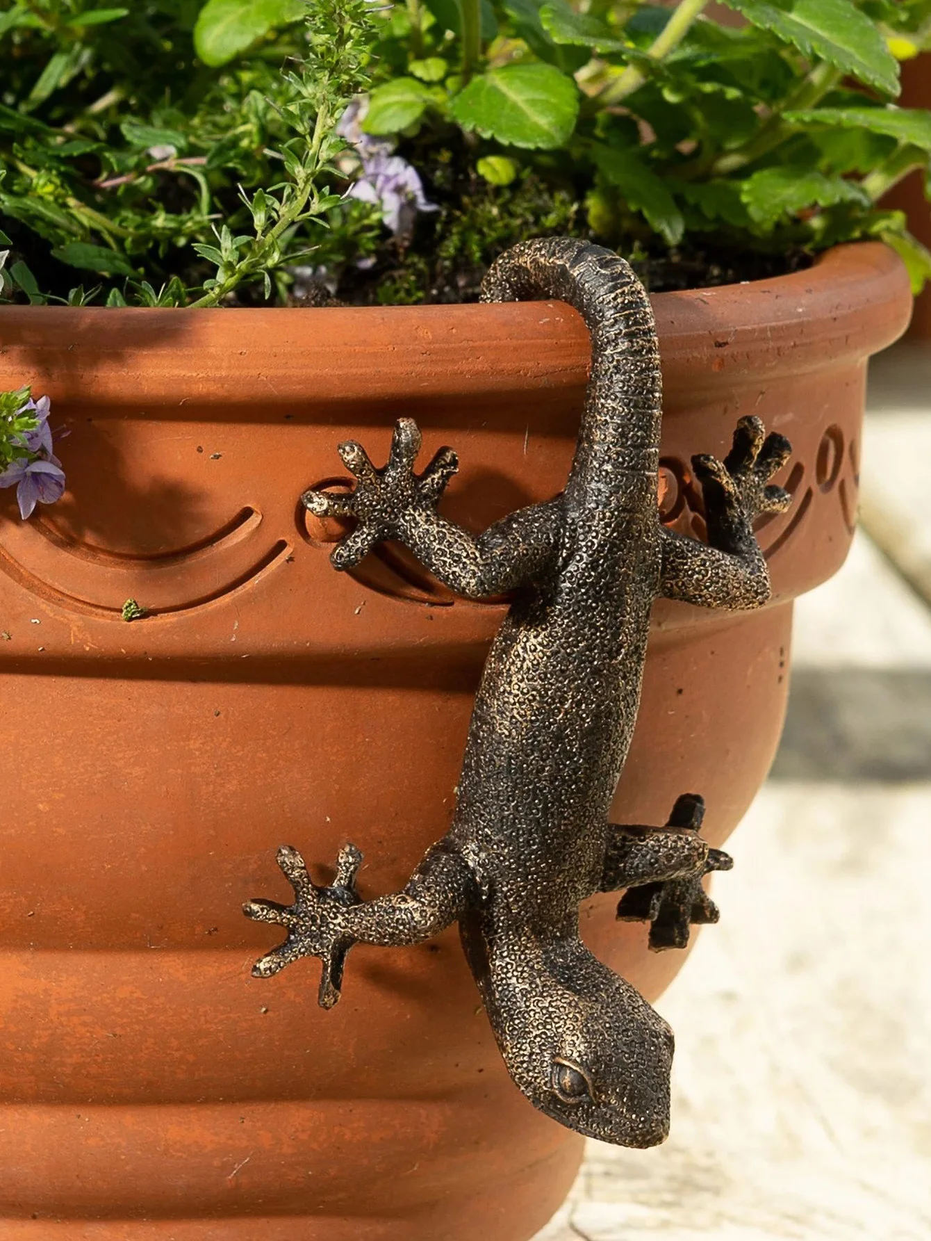 yZ[zGecko Hangingv^[AA̒uApeBIȂ̂߂̃peBȊA1