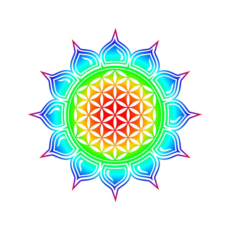 

Jpct cartoon flower of life lotus decal for car, refrigerator, travel package decoration waterproof sticker 13cm x 13cm