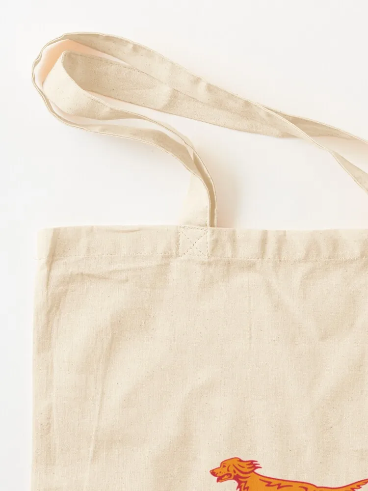 Irish Bus Eireann Tote Bag Gift bag woman shopping bag tote custom Customizable tote