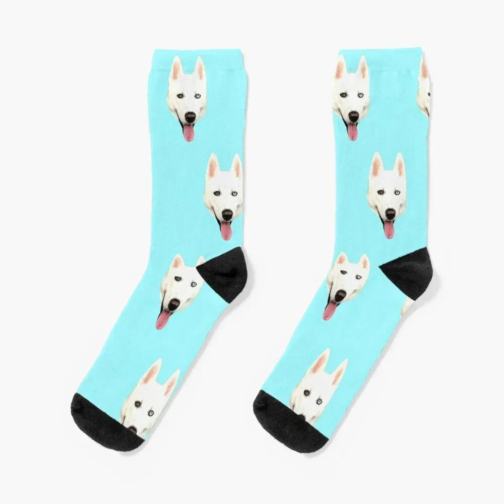 Huskies everywhere Socks Lots luxe bright garter hockey Woman Socks Men's