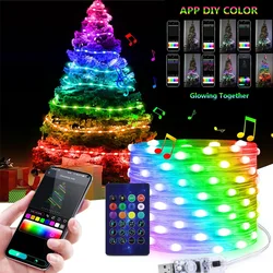 Inteligentna girlanda LED Sterowanie aplikacją Bluetooth RGBIC Fairy Lights Wodoodporna muzyka USB Dream Color Light Dekoracja pokoju imprezowego