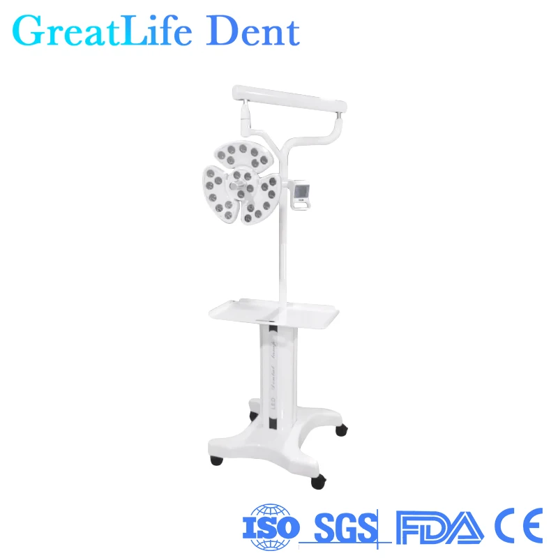 GreatLife Dent 38w 26 Leds Hospital Clinic Sunlight Adjustable Brightness Movable Dental Surgical Operation Light Stand Led Lamp