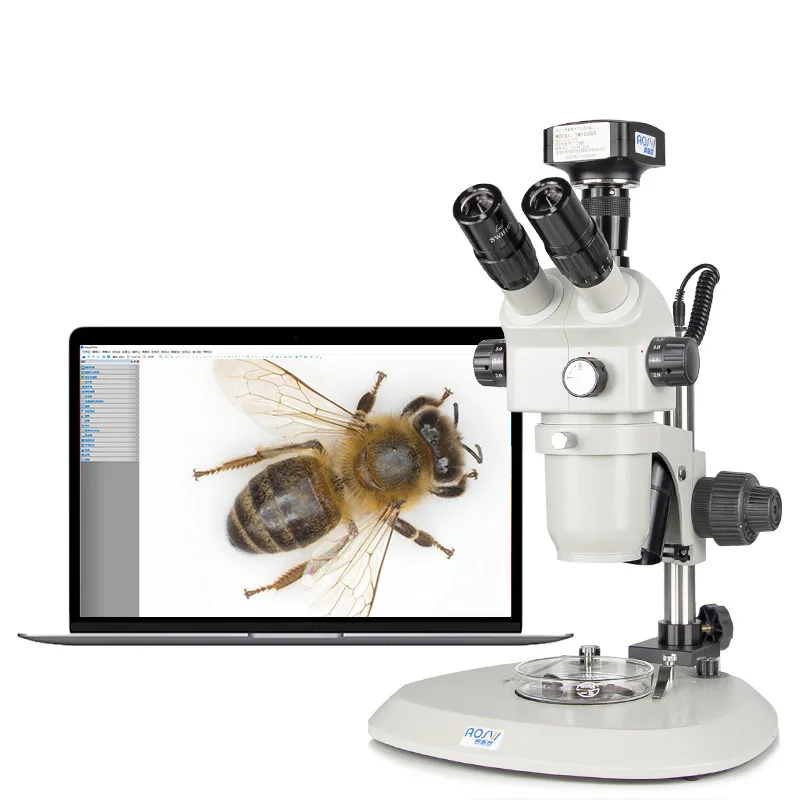 

Large Variable Magnification Experimental Scientific Research Grade Stereo Microscope