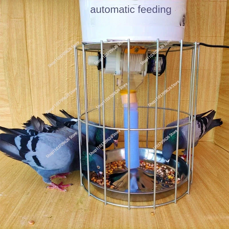 110/220V Pigeon Supplies Utensils Automatic Feeder Pigeon Trough Self-help Timing Fixed-point Chicken Pigeon Feeding Artifact